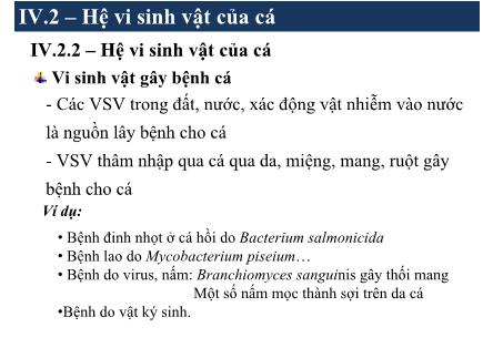 Bài giảng Vi sinh thực phẩm - Phạm Thị Lan Phương (Phần 9)