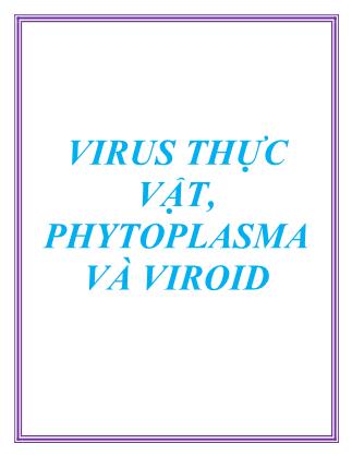 Bài giảng Virus thực vật, Phytoplasma và Viroid