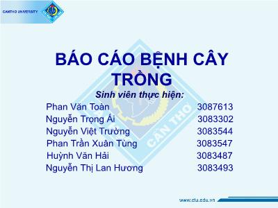 Báo cáo Bệnh cây trồng