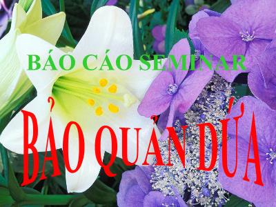 Báo cáo seminar: Bảo quản dứa