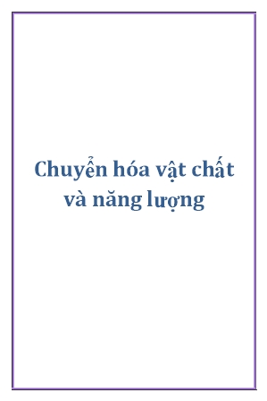 Bộ đề trắc nghiệm Sinh học 11: Chuyển hóa vật chất và năng lượng