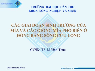 Các giai đoạn sinh trưởng của mía và các giống mía phổ biến ở đồng bằng Sông Cửu Long - TS. Lê Vĩnh Thúc