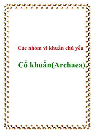 Các nhóm vi khuẩn chủ yếu: Cổ khuẩn(Archaea)