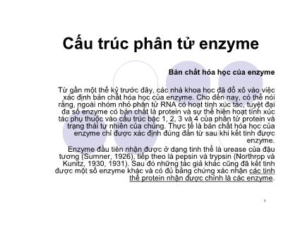 Cấu trúc phân tử enzyme