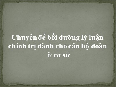 Chuyên đề bồi dưỡng lý luận chính trị dành cho cán bộ đoàn ở cơ sở