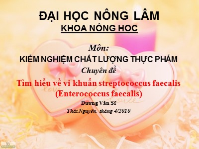 Chuyên đề Tìm hiểu về vi khuẩn streptococcus faecalis (Enterococcus faecalis)