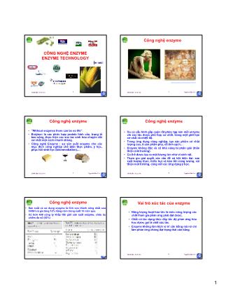 Công nghệ enzyme (Enzyme technology) - Nguyễn Hữu Trí