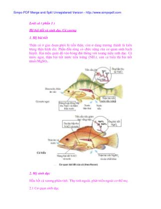 Giáo trình Loài cá (Phần 1)