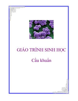 Giáo trình Sinh học: Cầu khuẩn
