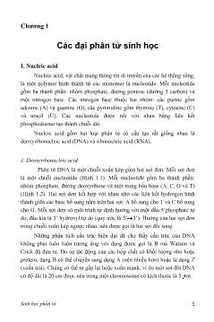 Giáo trình Sinh học phân tử
