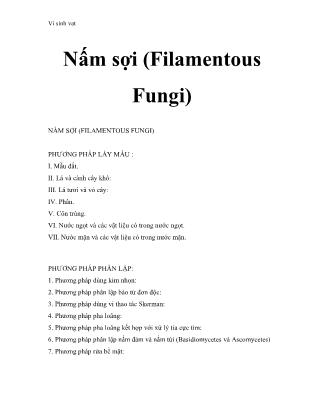 Giáo trình Vi sinh vật: Nấm sợi (Filamentous Fungi)