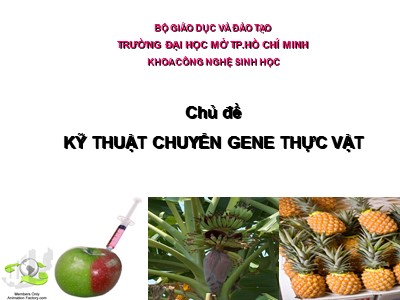 Kỹ thuật chuyển gene thực vật