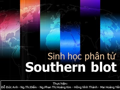 Sinh học phân tử (Southern blot)