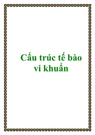 Tài liệu Cấu trúc tế bào vi khuẩn