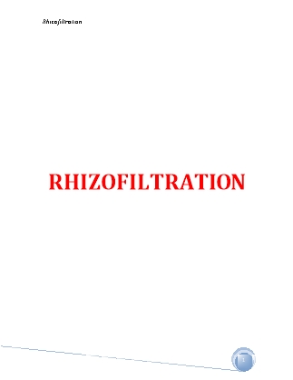 Tài liệu Rhizofiltration