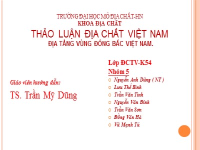 Thảo luận địa chất Việt Nam: Địa tầng vùng đông bắc Việt Nam