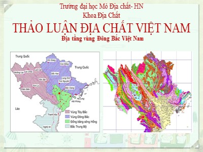 Thảo luận địa chất Việt Nam: Địa tầng vùng Đông Bắc Việt Nam - TS. Trần Mỹ Dũng