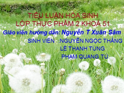 Tiểu luận Hóa sinh