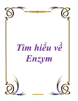 Tìm hiểu về Enzym