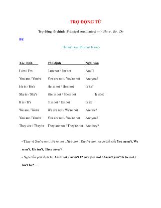 Trợ động từ Tiếng Anh
